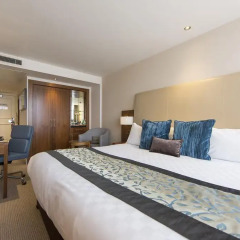 Thistle Trafalgar Square Hotel 4* Стандартный номер