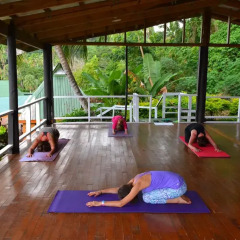 Отель Daku Resort Savusavu фитнесс-зал фото 2