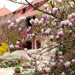 Отель Club Dobogómajor superior фото 7