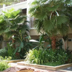 Отель The Heritage Pattaya Beach Resort