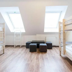 Отель wombat's CITY HOSTELS VIENNA - Naschmarkt Кровать в общем номере с двухъярусной кроватью фото 4
