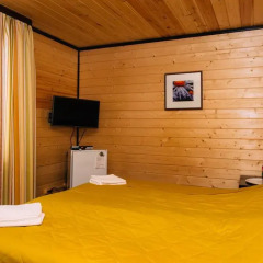 Гостиница Efimov Bor Resort Стандартный номер разные типы кроватей фото 7