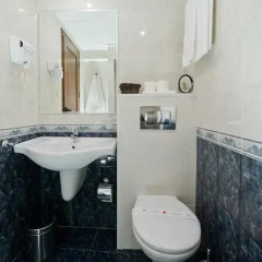 Spa Hotel Sveti Nikola 4* Стандартный номер фото 8
