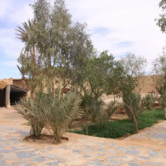 Отель Maison Adrar Merzouga Марокко, Мерзуга - отзывы, цены и фото номеров - забронировать отель Maison Adrar Merzouga онлайн