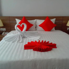 Maple Leaf Hotel & Apartment 4* Номер Делюкс фото 2