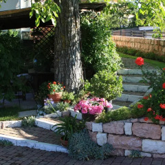 Отель Residenza Tonidandel Фай-делла-Паганелла фото 2