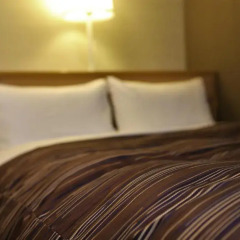 Ark Hotel Okayama - ROUTE-INN HOTELS - 3* Стандартный номер с различными типами кроватей фото 12