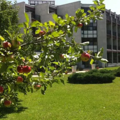 Отель Parkhotel Brunauer Австрия, Зальцбург - отзывы, цены и фото номеров - забронировать отель Parkhotel Brunauer онлайн фото 4