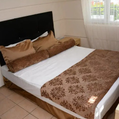Andros Family Club 3* Стандартный номер с различными типами кроватей фото 5