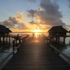 Отель Sofitel Bora Bora Private Island фото 5