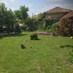 Отель House Gabri Болгария, Тырговиште - отзывы, цены и фото номеров - забронировать отель House Gabri онлайн фото 19