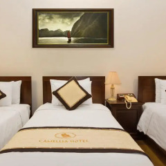 Camellia Boutique Hotel 3* Стандартный номер с различными типами кроватей фото 18