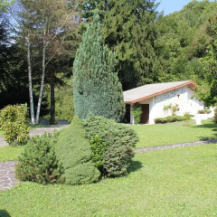 Отель Romantico Chalet Nanis Корденонс