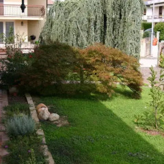 Отель B&B La Mansardina Италия, Лимена - отзывы, цены и фото номеров - забронировать отель B&B La Mansardina онлайн фото 4