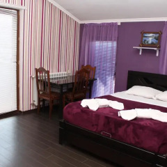Отель Majestic Georgia 3* Полулюкс с различными типами кроватей фото 11