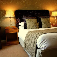 The Bridge Hotel and Spa 4* Стандартный номер с различными типами кроватей