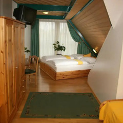 Hotel Asperner Löwe 3* Стандартный номер