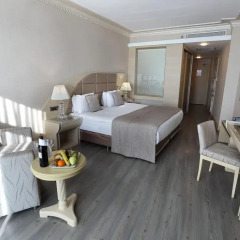 Eser Premium Hotel & SPA 5* Номер Делюкс с различными типами кроватей