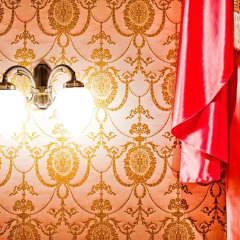 Стиль Отель Представительский люкс разные типы кроватей фото 7