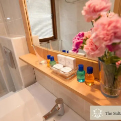 Sultans Royal Hotel 4* Номер категории Эконом с различными типами кроватей фото 17