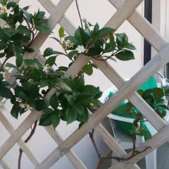 Отель Smile Bed & Breakfast Конверсано балкон