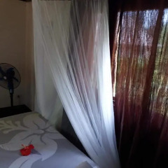 Отель Pension Hibiscus Tahaa спа