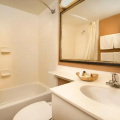Отель The American Inn of Bethesda 3* Стандартный номер с различными типами кроватей фото 4