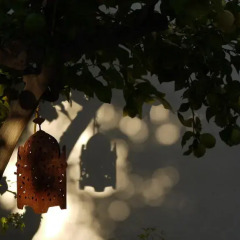 Отель B&B Villa Pico
