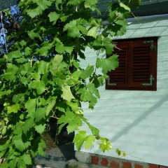 Апартаменты Nature Apartment in Split фото 7