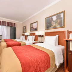 Heritage Hotel New York City 2* Стандартный номер с различными типами кроватей фото 6
