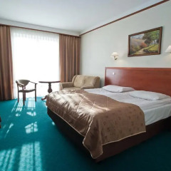 Hotel Ambasador Chojny 3* Улучшенный номер с различными типами кроватей
