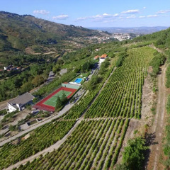 Отель Quinta Da Timpeira пляж