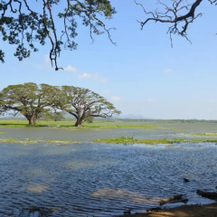 Отель Yala Freedom Villa пляж