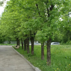Гостиница Пятый Угол