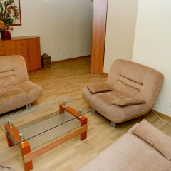 Апартаменты Lviv's Opera House apartment's комната для гостей