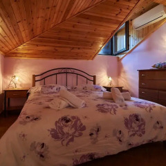 Hotel Viky детские мероприятия