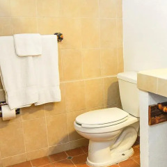 Hotel Suites Ixtapa Plaza 3* Полулюкс с различными типами кроватей фото 8