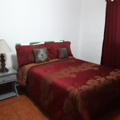 Отель Honduras Executive Inn at Palmira Гондурас, Тегусигальпа - отзывы, цены и фото номеров - забронировать отель Honduras Executive Inn at Palmira онлайн комната для гостей фото 5