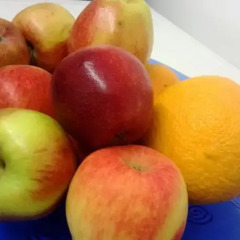 Отель am Schlosspark Германия, Эссен - отзывы, цены и фото номеров - забронировать отель am Schlosspark онлайн питание