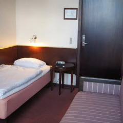 Park Hotel Aalborg 3* Стандартный номер с различными типами кроватей фото 3