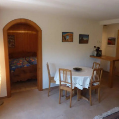 Отель Chalet Aebnetbode Швейцария, Гштад - отзывы, цены и фото номеров - забронировать отель Chalet Aebnetbode онлайн в номере