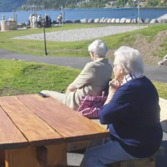Отель Innvik Fjordhotel - Misjonheimen с домашними животными