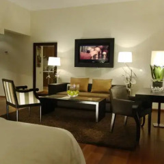 Park Suites Hotel & Spa 4* Представительский люкс с различными типами кроватей фото 6