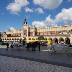 Отель Bona Польша, Краков - отзывы, цены и фото номеров - забронировать отель Bona онлайн питание фото 2