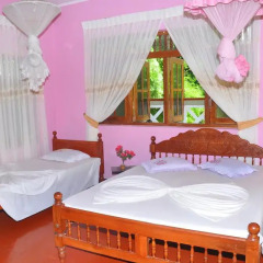 Отель Sanoga Holiday Resort 2* Стандартный номер с различными типами кроватей фото 6