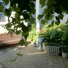 Гостиница Mimoz Guest House фото 2