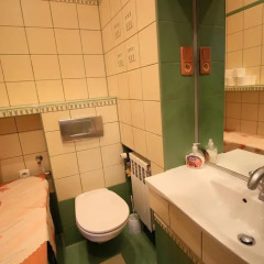 Отель Apartament Daktylowy Закопане ванная