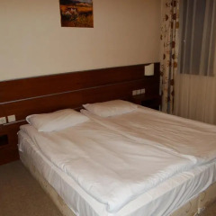 Апартаменты Apartment Pere Toshev Bansko Студия фото 3