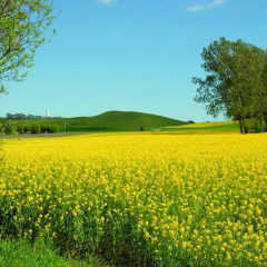 Отель Vallebergaslätt спортивное сооружение