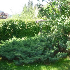 Отель Pokoje Akademia Zdrowia Somatic Косцелиско фото 12